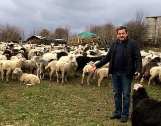 Фермер-атошник хоче створити ферму з вирощування племінних овець